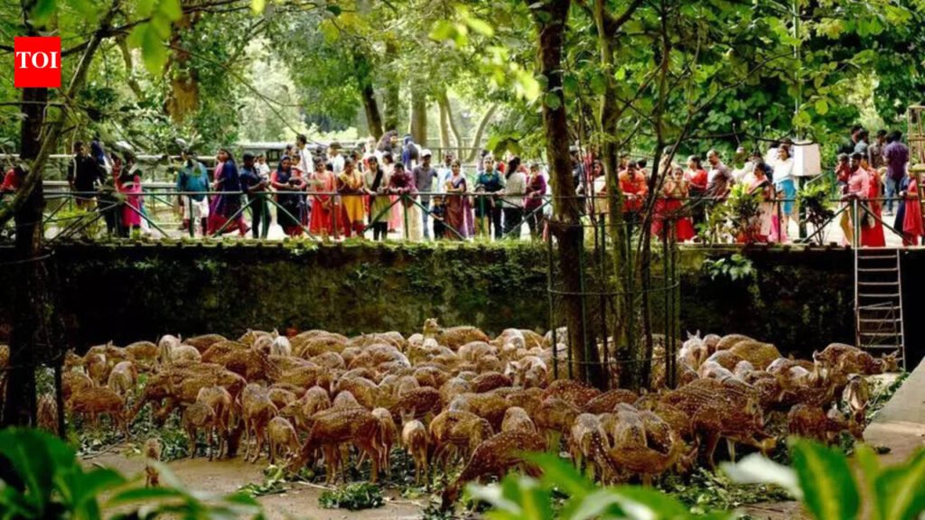 State govt confirms 142 infectious cases reported in Thiruvananthapuram Zoo in 2025 | Thiruvananthapuram News