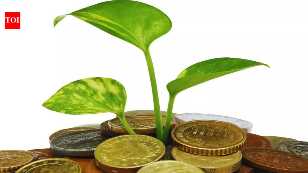 5 Vastu-approved plants you should bring home today for prosperity