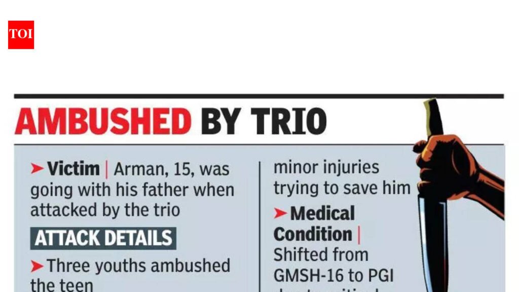 Teenager stabbed in front of his father in Dadumajra, battles for life in PGI | Chandigarh News