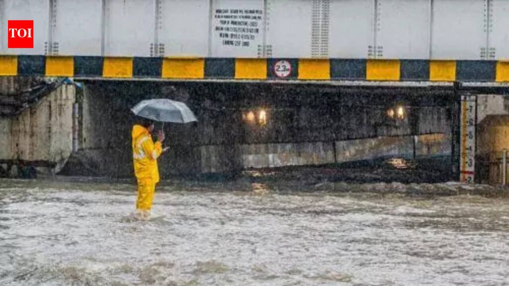 BMC mulls building flyover over flood-prone Andheri subway in Mumbai, appoints consultant to carry out feasibility study | Mumbai News