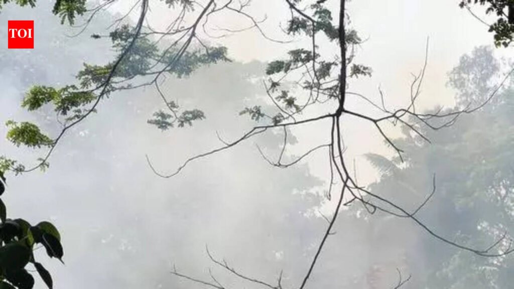 Trust flags plastic burning health risk to minister | Mangaluru News