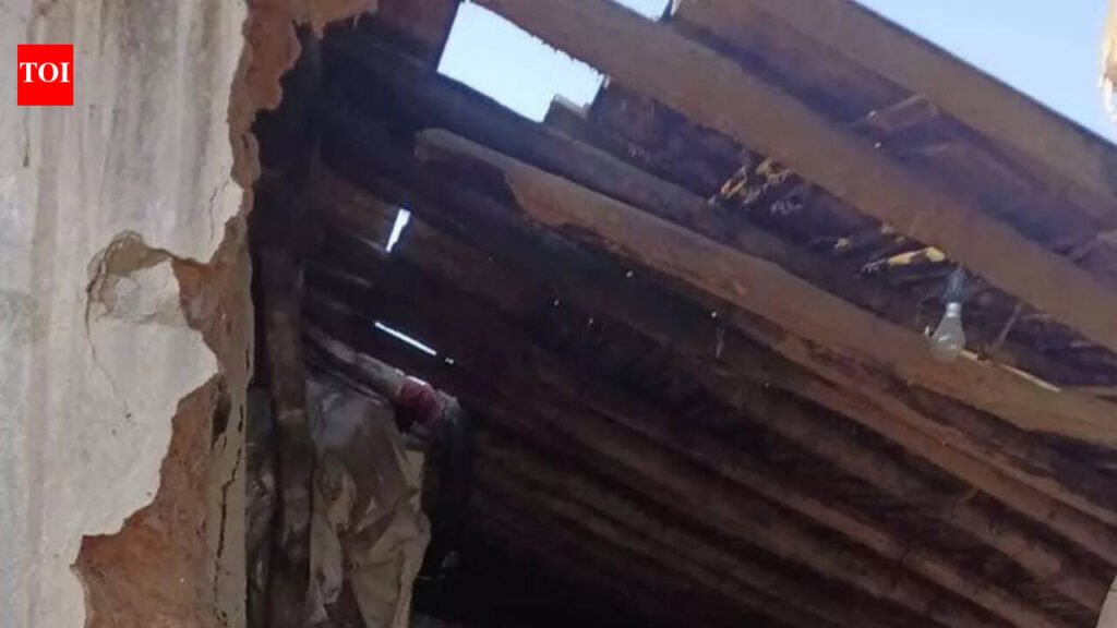 Prohibitory orders imposed in Churchu after elephants trample six to death | Ranchi News