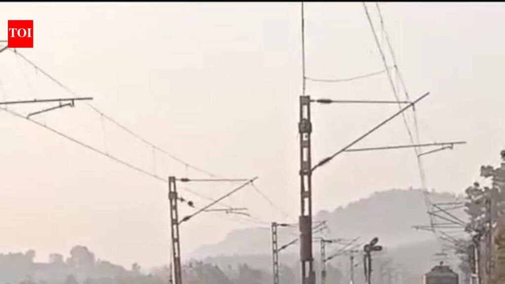 Goods train driver stops in time to allow 14 elephants to cross tracks | Bhubaneswar News