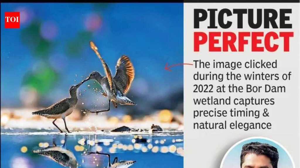 Amravati Doctor’s Bird Pic Wins Nat Geo Honour | Nagpur News