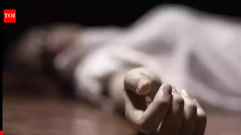 4 killed as car falls down Kinnaur gorge | Chandigarh News