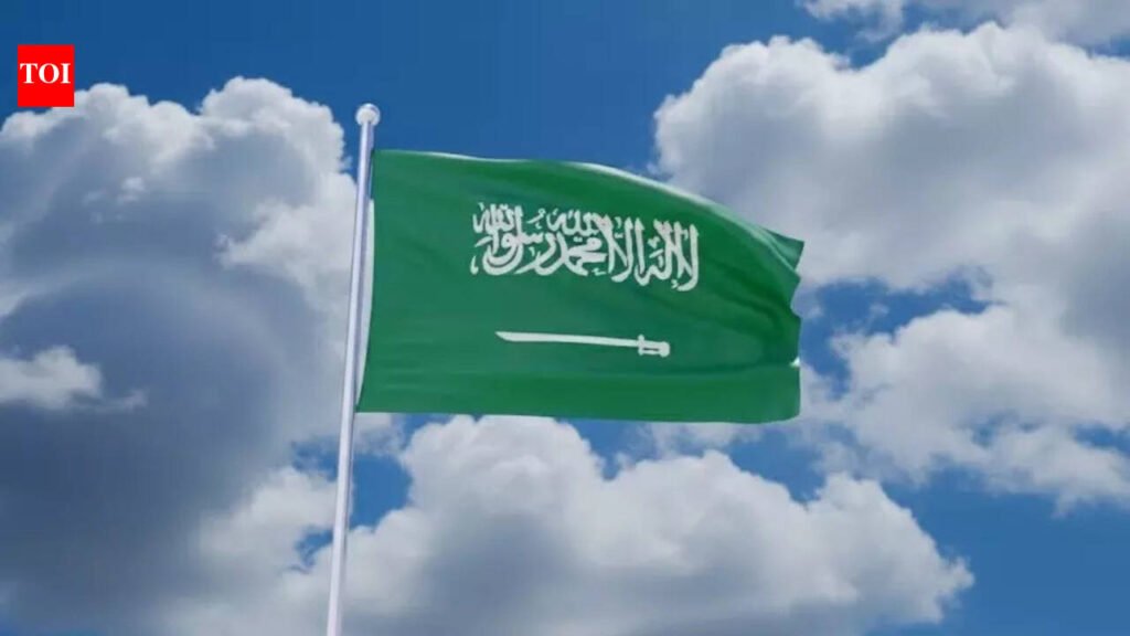 Saudi Arabia introduces new Arabic policy to expand use in schools, courts and tech sector | World News