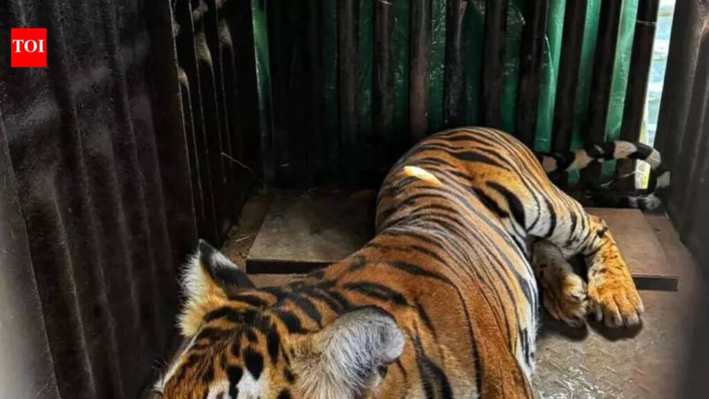 Frequent human-animal conflicts pose challenges to policing in Chamarajanagar | Mysuru News