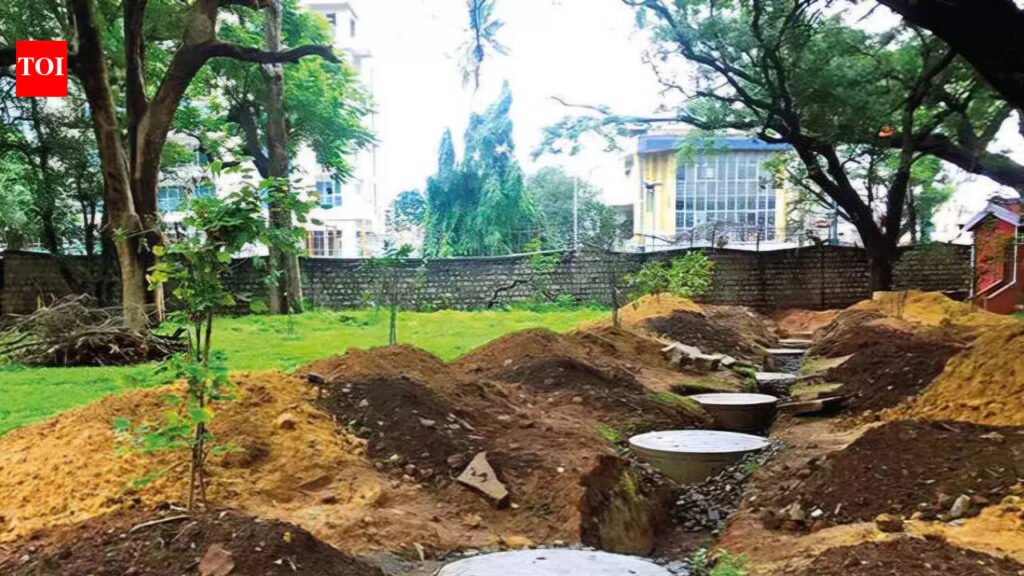 State directs ULBs to create 10k groundwater recharge structures by March | Bhubaneswar News