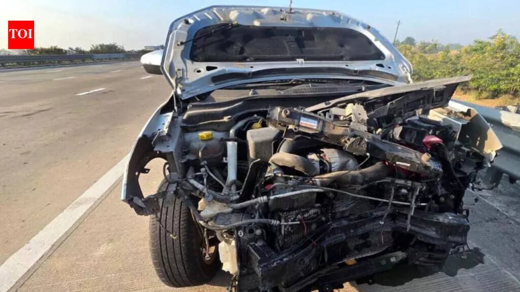 Leopard killed by speeding car on expressway | Vadodara News