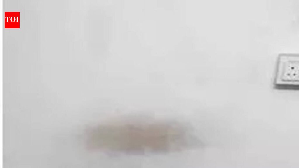 Cops bust pigeon fighting racket, 42 birds rescued, three arrested | Jaipur News