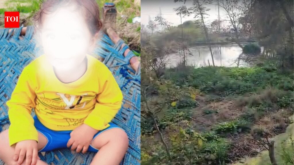 Month after Noida techie death, 3-year-old boy drowns after falling into water-filled pit in Greater Noida village | Noida News