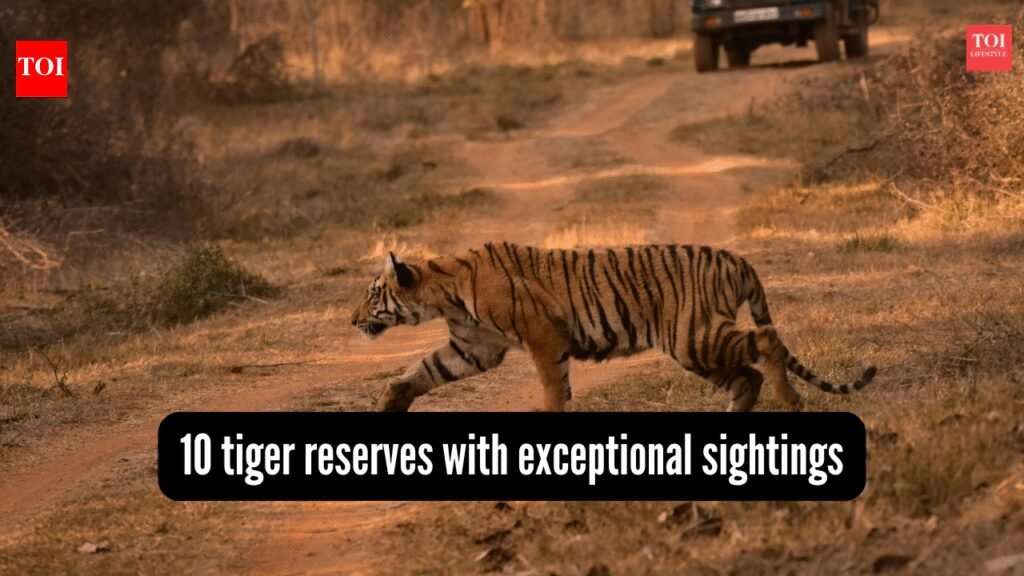 10 tiger reserves in India with exceptional sighting records