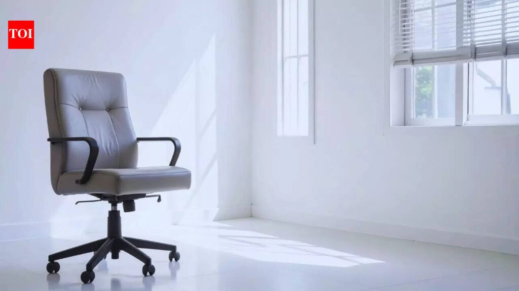 What is an Ergonomic chair for back support and what are its different types