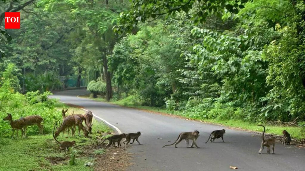 Walkers Path from Thakur Village to Sanjay Gandhi National Park in Mumbai likely to be shut down | Mumbai News