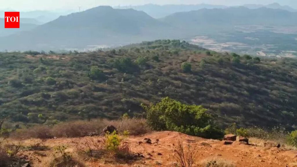 Jogimatti remains closed to tourists over wildfire risk | Hubballi News