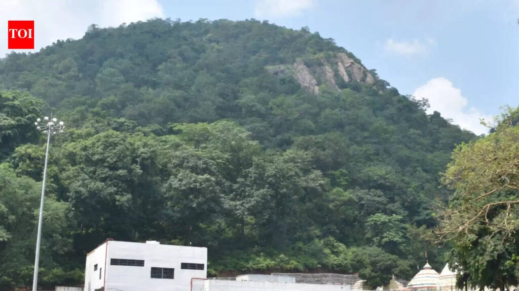 Forces on alert over Maoist ‘presence’ at Gandhamardan | Bhubaneswar News