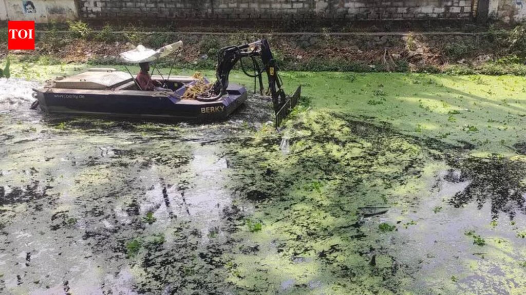 SHRC steps in to clean waterbodies | Thiruvananthapuram News