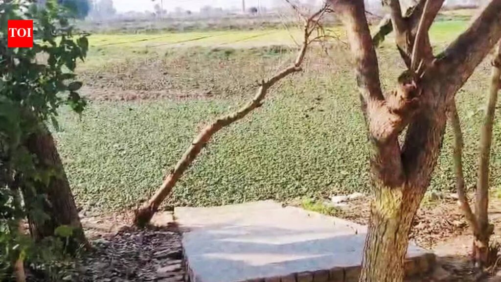 3-year-old boy drowns in Greater Noida pit, villagers say officials ignored letters | Noida News
