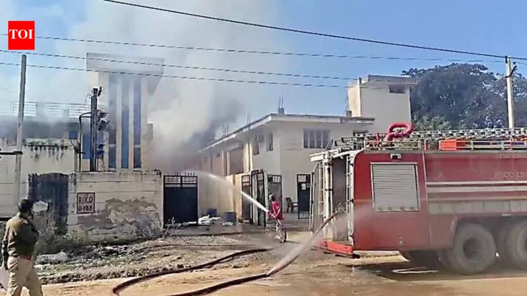 Bhiwadi chemical factory fire: Seven killed in blast at illegal firecrackers unit in Bhiwadi | Jaipur News