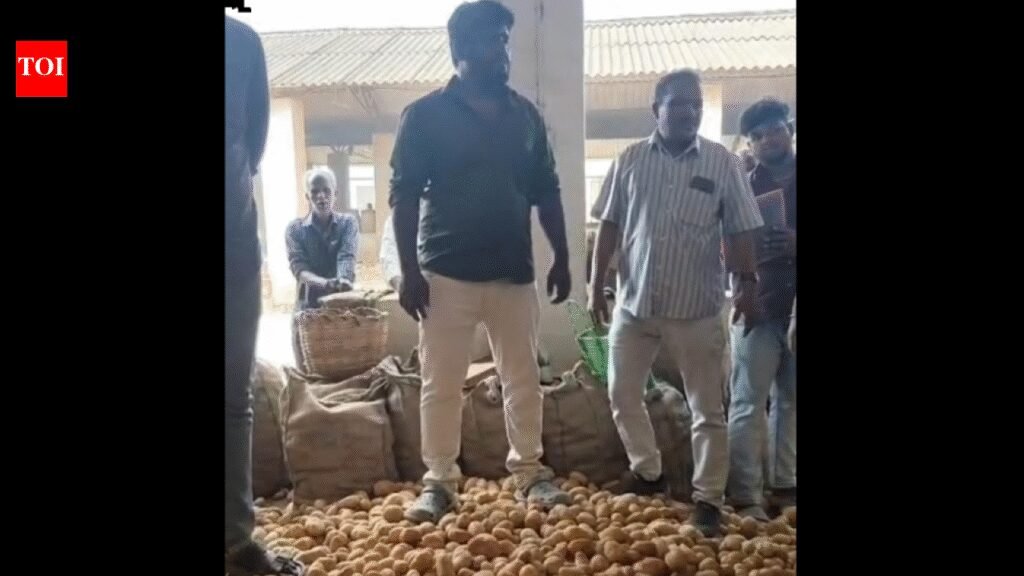Nilgiris Co-operative Marketing Society’s Mettupalayam branch has sold 21,000 tonnes of Ooty potatoes in last 10 months | Coimbatore News