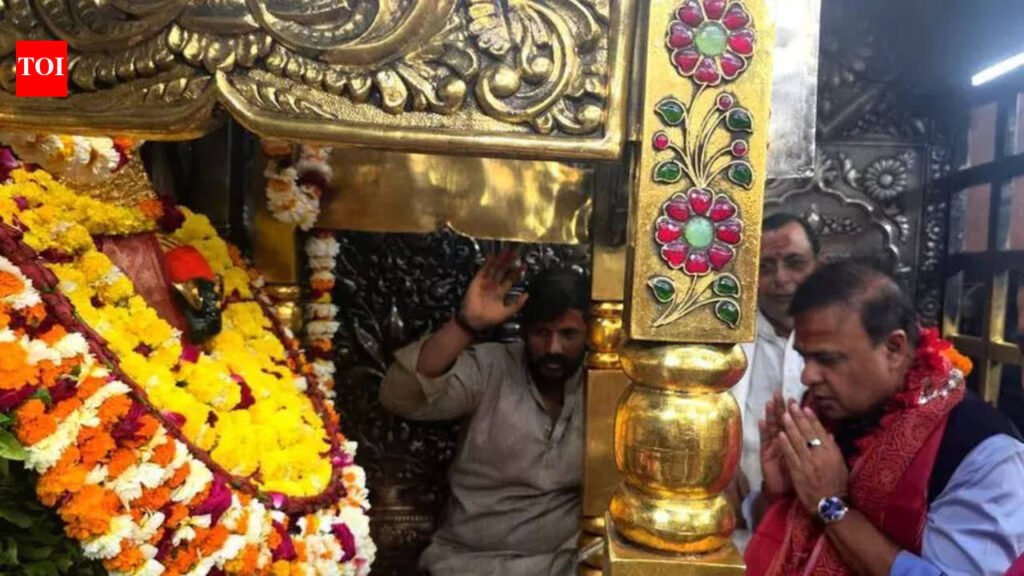 Chasing Bangladeshis out of Assam: Himanta in Mirzapur | Varanasi News