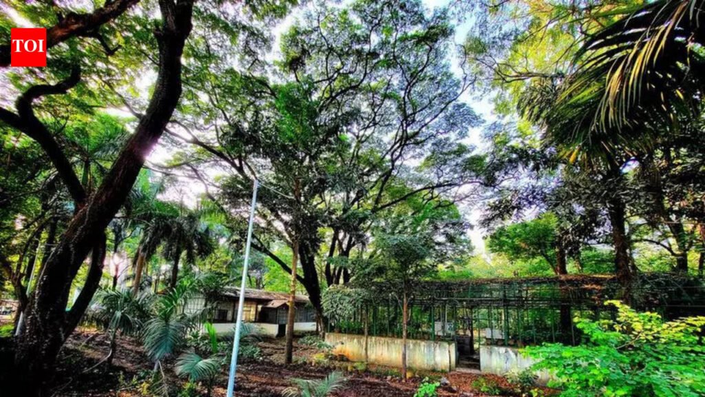 Taru aided offence to hide real info while registering Mundhwa land sale deed: Court | Pune News