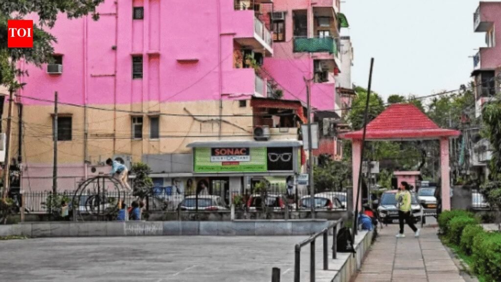 Growth, grit and belonging: How an ‘underdog’ Delhi colony built its own identity; Vikaspuri’s 5-decade transformation | Delhi News