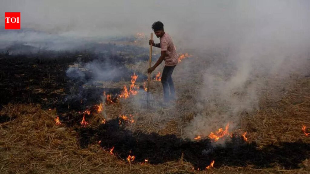 CAQM asks Punjab, Haryana, UP to introduce special ‘protection force’ to snuff out farm fires | Chandigarh News