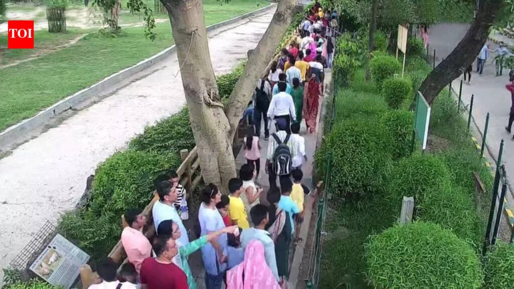 Up close with wild things: Nocturnal house, walk-through aviary and more | Delhi News