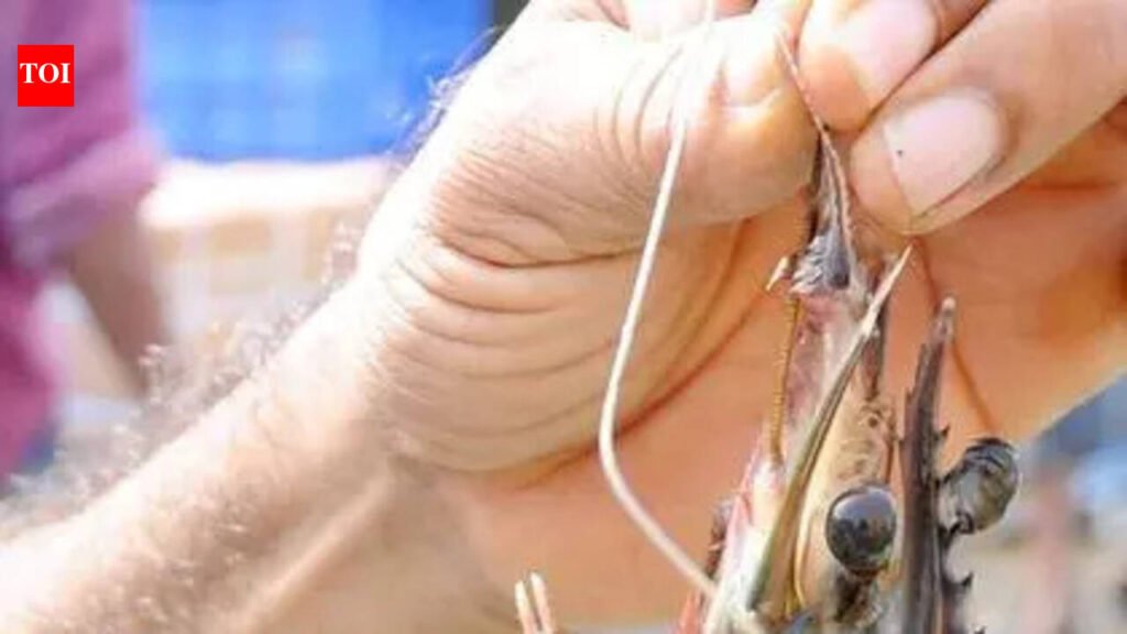 Three more who had seafood at Vizhinjam hotel seek treatment | Thiruvananthapuram News