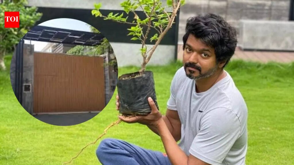 Vijay House: Thalapathy Vijay’s Neelankarai mansion: Inside ‘Jana Nayagan’ actor’s Rs 80-crore property |