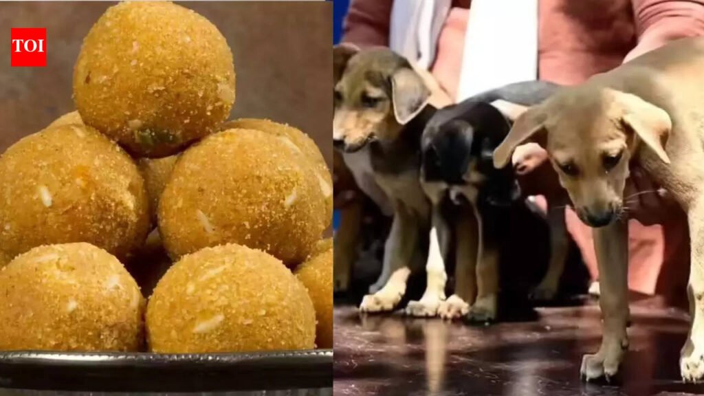 Zirakpur: Poisoned ‘laddoos’ fed to 22 stray puppies in Punjab’s Zirakpur; 7 dead | Chandigarh News
