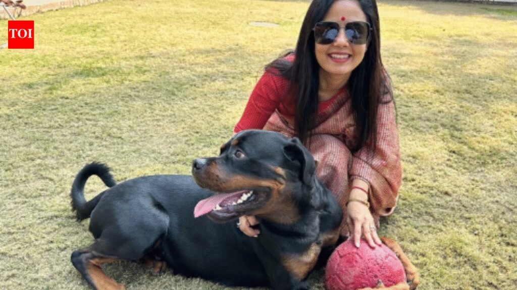 TMC MP Mahua Moitra moves Delhi high court against ex-partner seeking custody of pet Rottweiler ‘Henry’ | India News