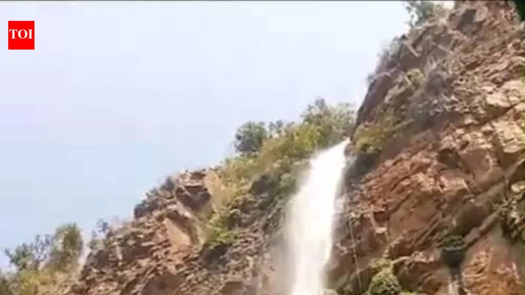 Engineering student drowns at Lotus Point waterfall in Maval taluka | Pune News