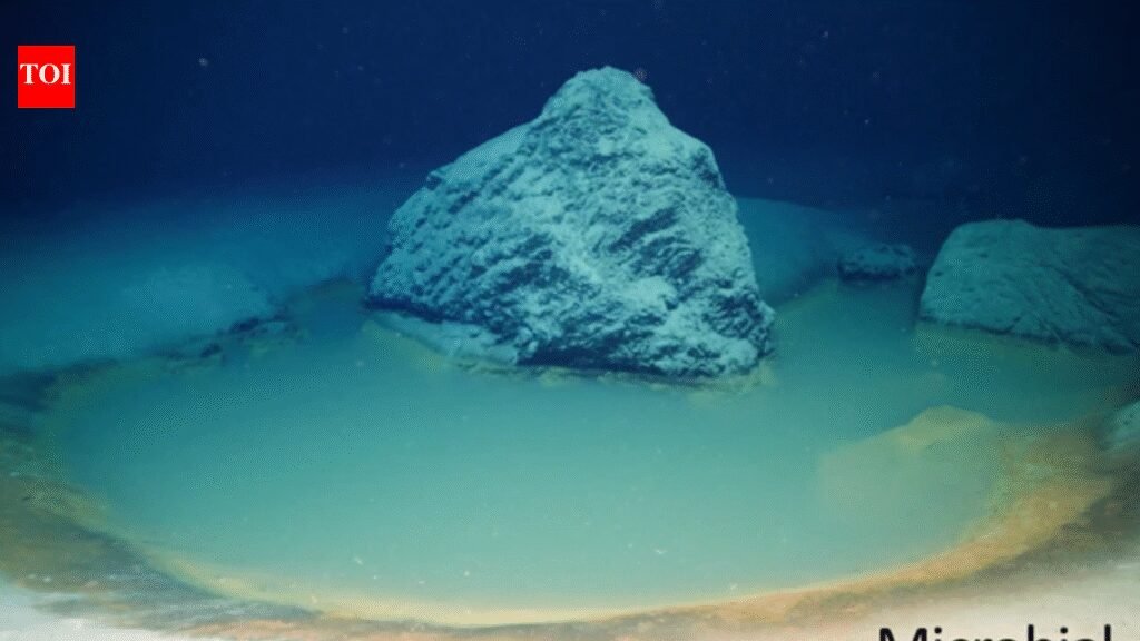 Deep beneath the Red Sea, the Gulf of Aqaba hides a toxic ‘ocean within an ocean’ where life cannot survive | World News