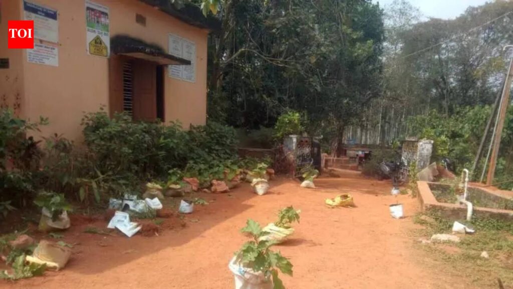 Former student, now class 7 boy, wrecks school garden over old grudge in Karnataka | Mangaluru News