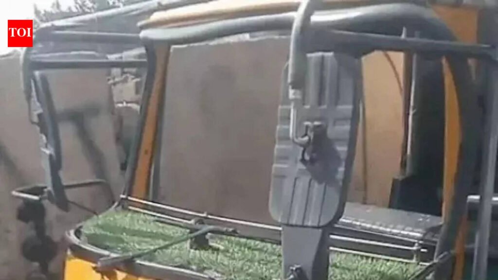 Canter hits bike, 2 brothers die; another rams into auto, injures 4 | Gurgaon News