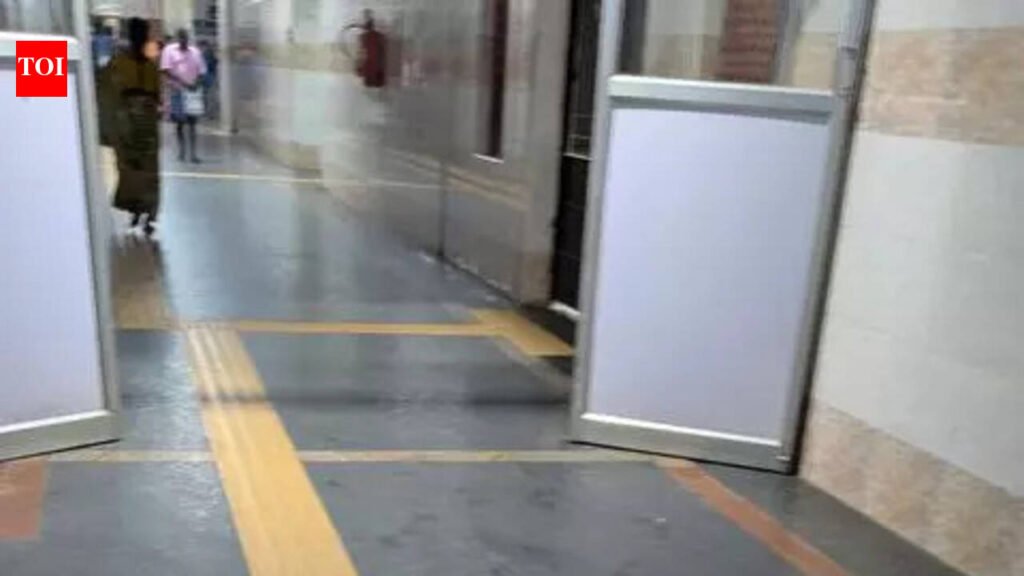 DC directs institutions to prevent stray dogs on premises | Mysuru News