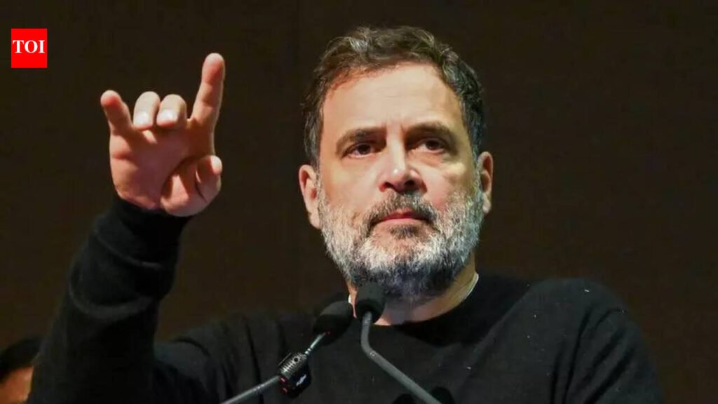 Rahul to kick off Cong campaign with Barnala rally | Chandigarh News