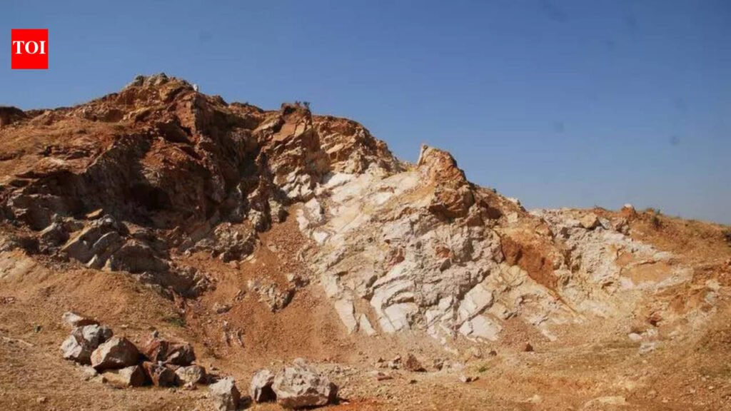 NGT notice on plea for resuming mining in forest land near R’bore | Jaipur News