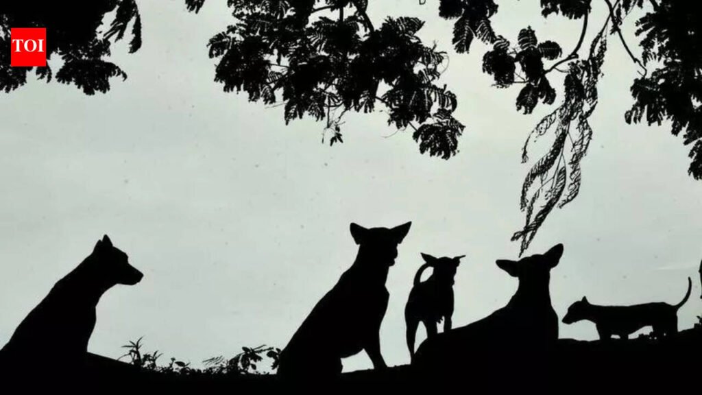 Thiruvananthapuram corporation’s stray dog shelter plan faces legal hurdles | Thiruvananthapuram News