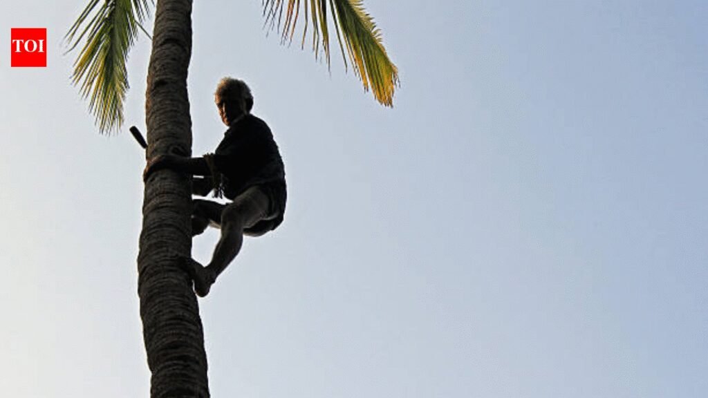 Dispute of toddy tappers over cast certs signals end | Goa News