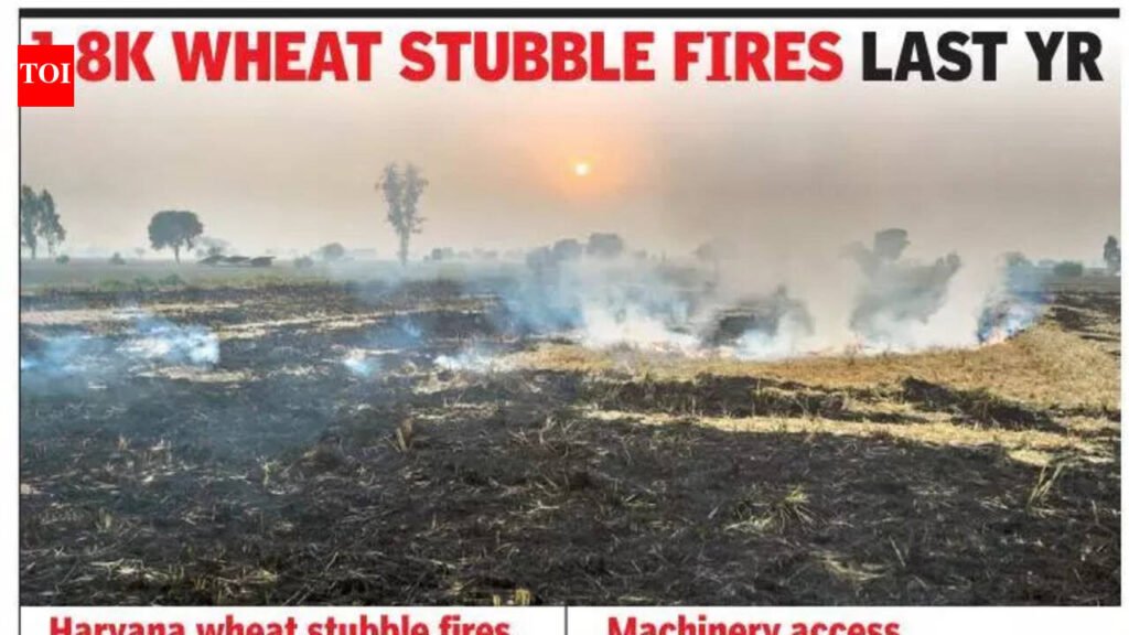 Wheat stubble burning too adds to NCR pollution, Haryana to track every farm after CAQM order | Gurgaon News