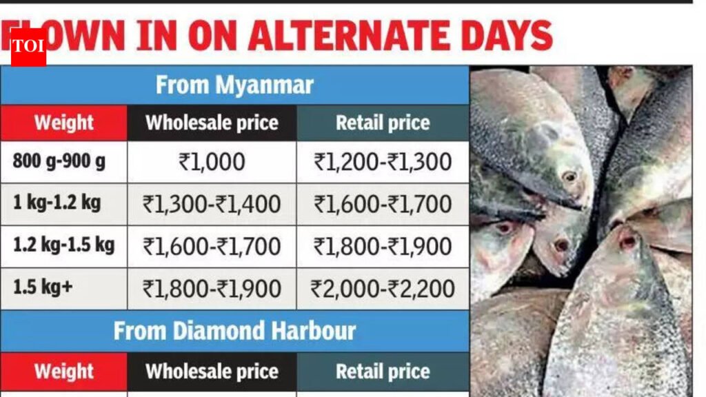 Off-season surprise on Kol platter: Fresh hilsa from Myanmar, Diamond Harbour floods mkts | Kolkata News