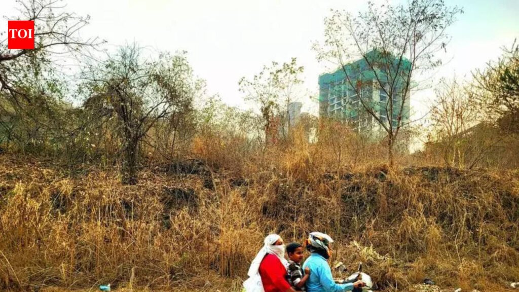 Day temperatures across state set to climb 2–3°; parts of Maharashtra may touch 37°C in Feb | Pune News