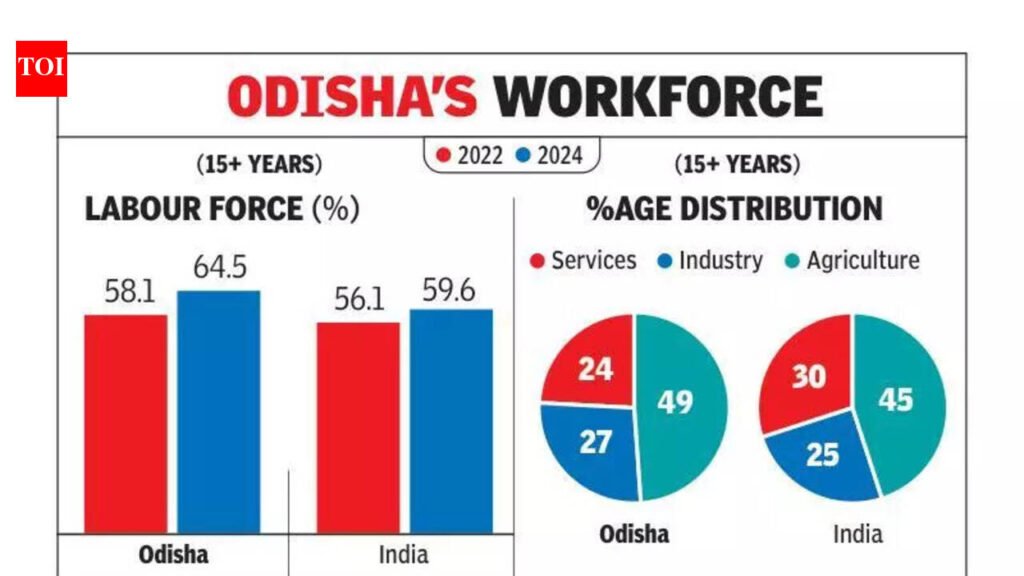 Rs 220cr DALKHAI initiative aims to curb seasonal migration | Bhubaneswar News