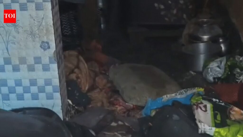 3 family members injured in gas cylinder blast in southeast Delhi | Delhi News