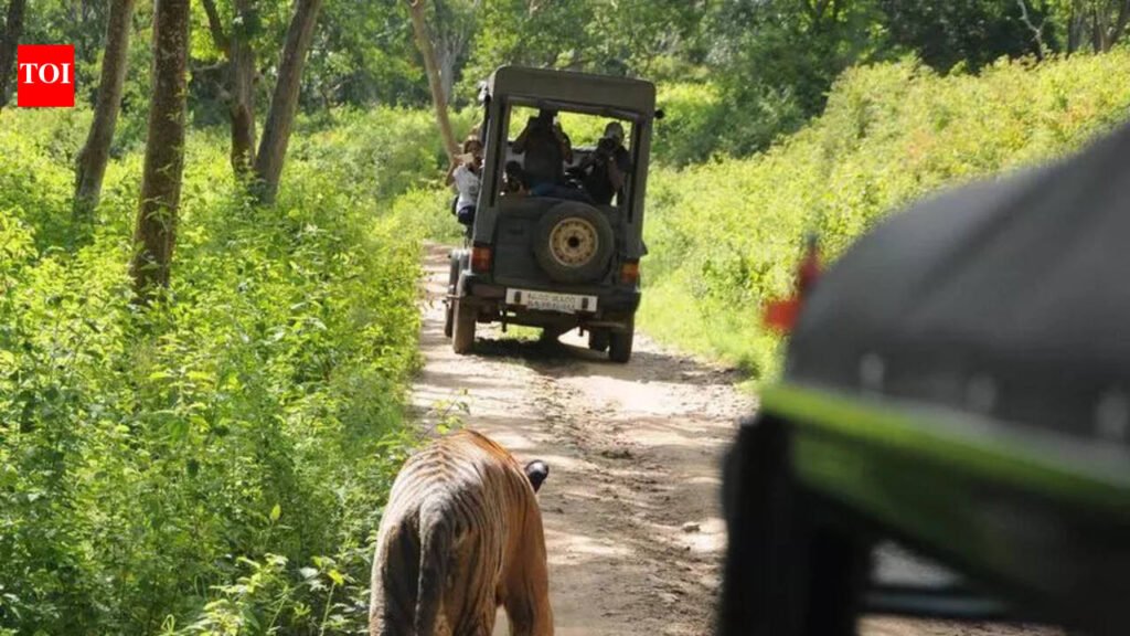 Tiger safari resumption delayed as govt yet to issue guidelines | Mysuru News