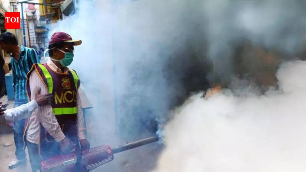 2025 disease burden: Pune logs highest chikungunya infections among all Maha districts, ranks second in dengue cases | Pune News