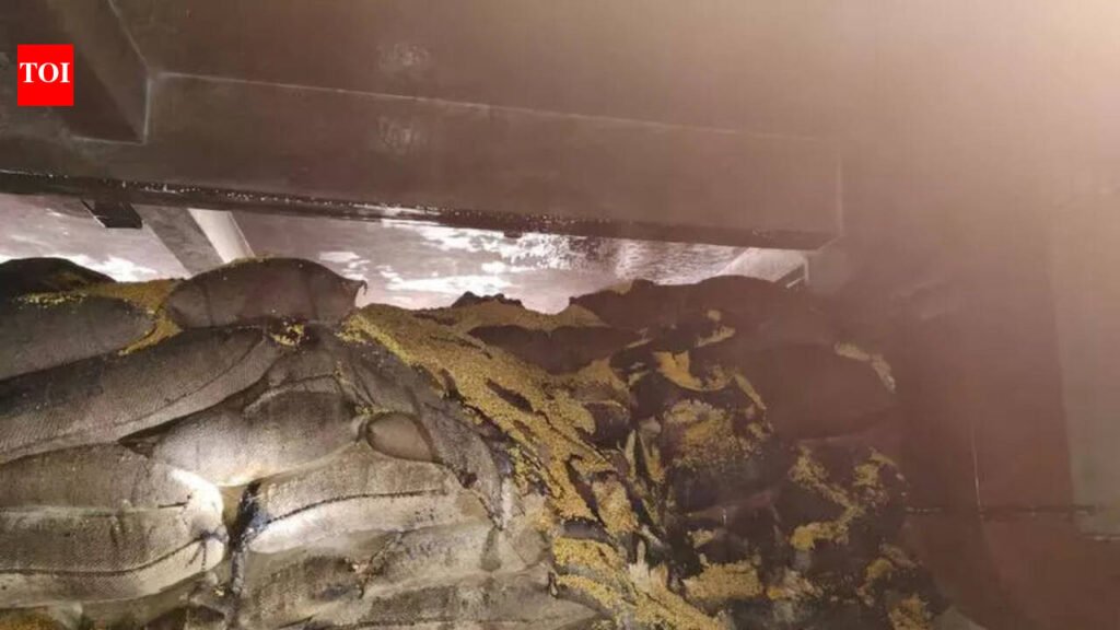 Rs6cr loss at dal mill fire, none injured | Nagpur News